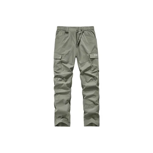 JEEP SPIRIT Мужские Карго Брюки