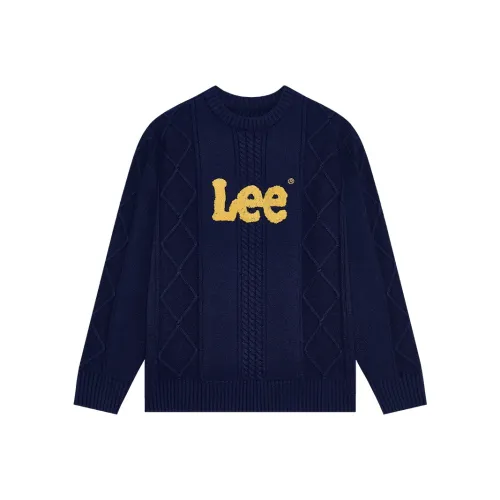 Lee Школьный возраст Свитера