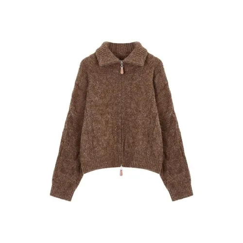 IQC Коричневый Унисекс Трикотаж