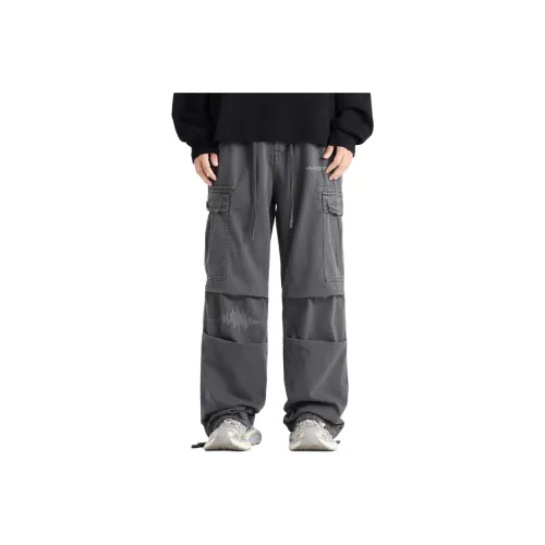 CCAABB Темно-серый Мужские Повседневные Штаны