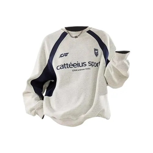 SIL VITIN Серый Унисекс Свитшоты