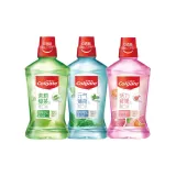 Зеленый чай 500 мл + Мята 500 мл + Свежие фрукты 500 мл