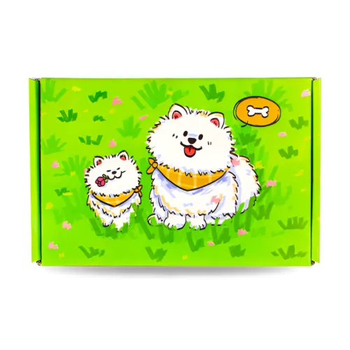 COPI Композитный материал коробка для украшений унисекс