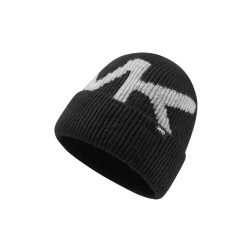 JEEP Classic Collection Смесовая шерсть Шапки-бини Мужской