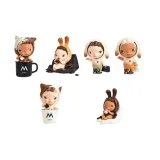 Целая коробка 6 штук