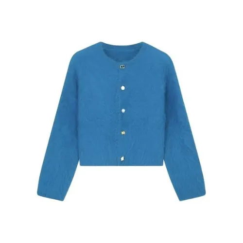 PZHK Маленький Синий Женский Трикотаж