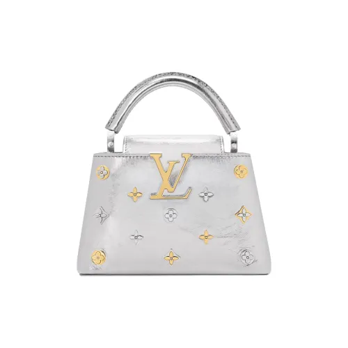 LOUIS VUITTON CapucinesSKI Skiing Collection Телячья кожа Сумка Мини Женская Серебряная