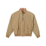 Рыжевато-коричневый