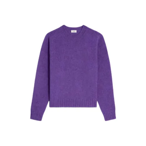 CELINE Фиолетовые Мужские Свитера