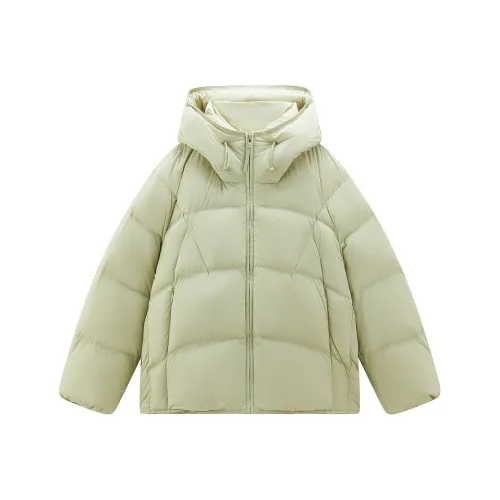LEDIN Зимний Груша Зеленый В наличии Женские Пуховые куртки