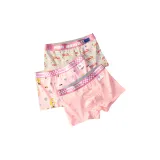 Портрет+Скоутер+Карта круговая