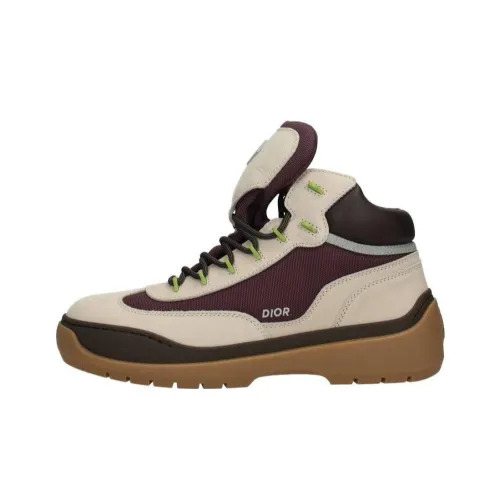 DIOR Dean Ботильоны Men's Natural