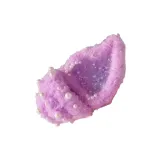 Фиолетовая сумка из оболочки (с диктофоном)