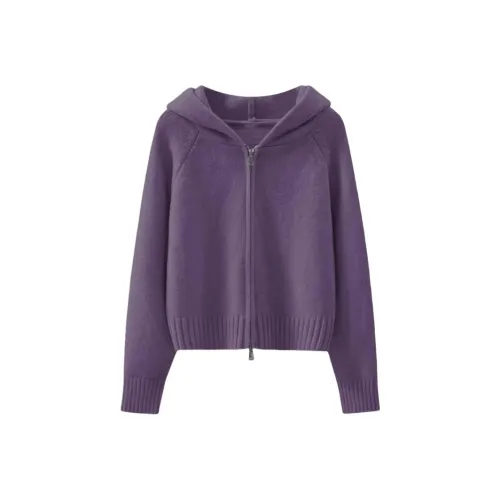 SIXUSICHOU Фиолетовый Женский Трикотаж