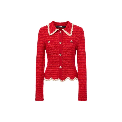 Karl Lagerfeld FW25 Свитер Женские