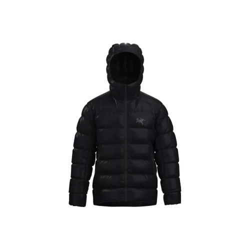 Arcteryx CERIUM SV Down Jacket Men's