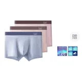 Mist Серый + Молочный Кофейный Серый + Светлый Абрикос Розовый