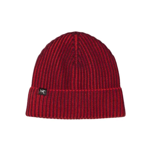 Arcteryx Шерсть Бини Унисекс MARS DYNASTY