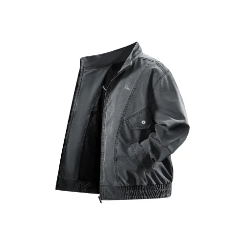 POLOMEISDO Темно-серый унисекс куртки