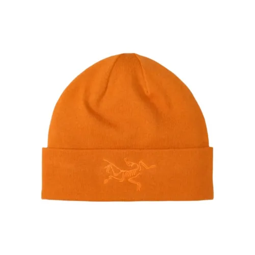 Arcteryx Полиэстер Шапки и Кепки Унисекс Медный Лазурь Blaze