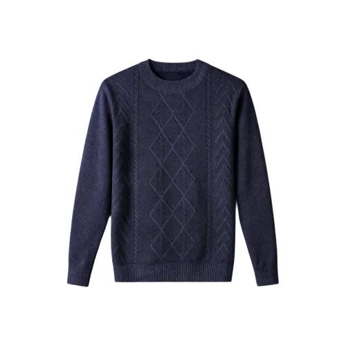 LAOYECHE Мужские Свитера