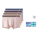 Светлый Абрикос Розовый + Светлый Абрикос Кофейный + Молочный Кофейный Серый + Туманно-Серый