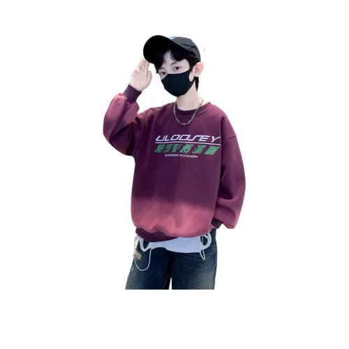 Lanza Повседневный свитшот Весна-осень Фиолетовый Подростки