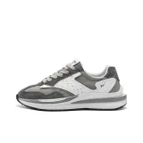 Наследственный серый