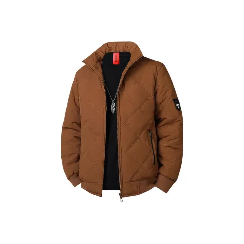 ICVBL Мужские пуховики