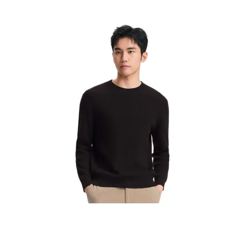 JODOLL Мужской Трикотаж