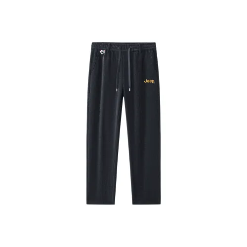 Jeep Унисекс Повседневные Штаны