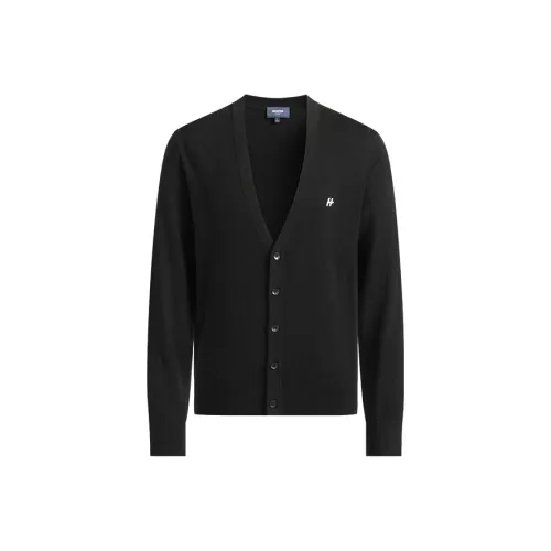 DANIEL HECHTER Мужские Свитера