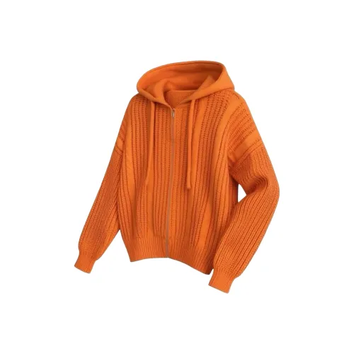 BANKONGSHAN Оранжевый Унисекс Трикотаж