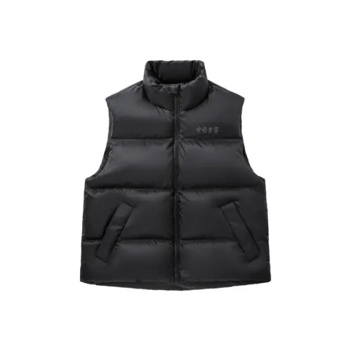 Лайнер Черный Унисекс Пуховый жилет