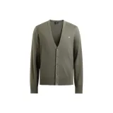 Светлый оливковый