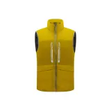 Золотая пальма