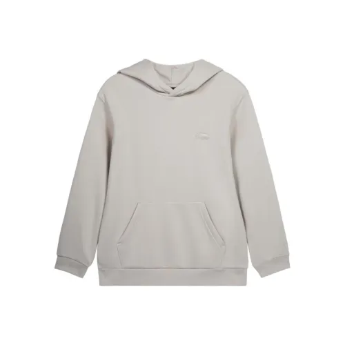 Подкладка Слюдяной Серый Унисекс Свитшоты