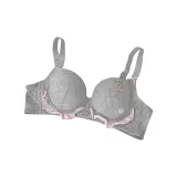 Mist Серый Медведь