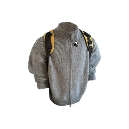 Двойная рыба Унисекс Трикотаж