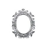 Посеребренный