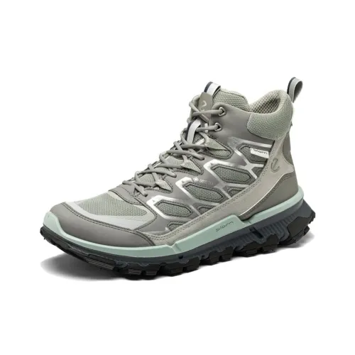 Ecco Walking 2,2 Альпинистские и туристические ботинки Высокий верх Серый Мужской