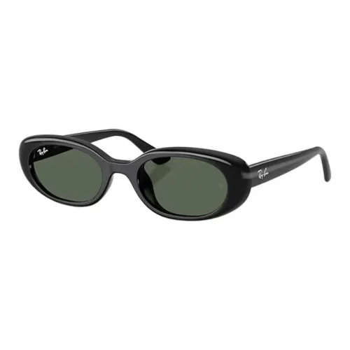 RayBan Injection Molding OVAL SUNGLASSES Унисекс Полированный Черный