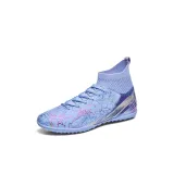 Фиолетовый дробленый гвоздики