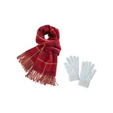 Красный двусторонний шарф + термические перчатки