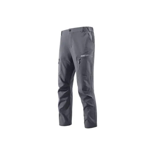 JEEP SPIRIT Мужские Карго Брюки