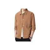 Земляной желтый