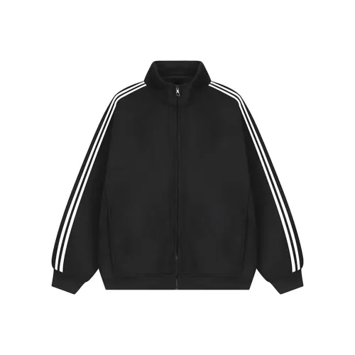 PLQV Мужские Свитшоты