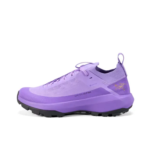 Arcteryx Vertex GTX Альпинизм Походная обувь Женская