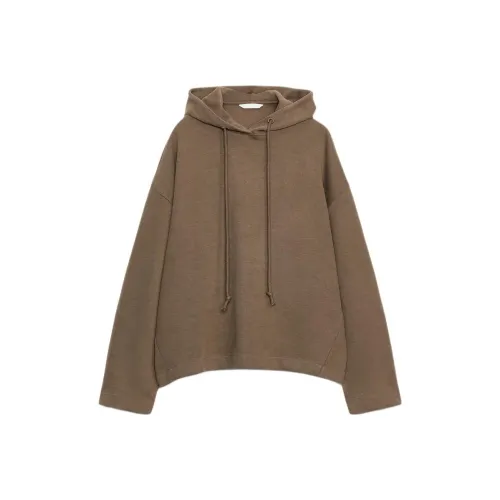 ZARA Темный норковый женские свитшоты