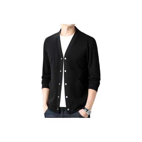 PIERRE CARDIN Мужской Трикотаж